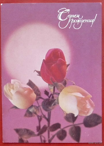 С днём рождения! Подписанная. 1988года. Фото Гидиримского. 817.