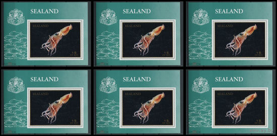 ДИЛЕРСКИЙ ЛОТ 6 БЛОКОВ  МОРСКАЯ ФАУНА. Кальмары. Sealand 1970 MNH