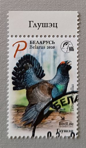 Глухарь. Птица года. Серия из 1 марки. 2020
