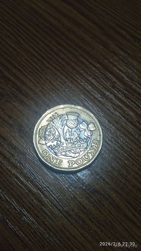 Великобритания 1 фунт 2017