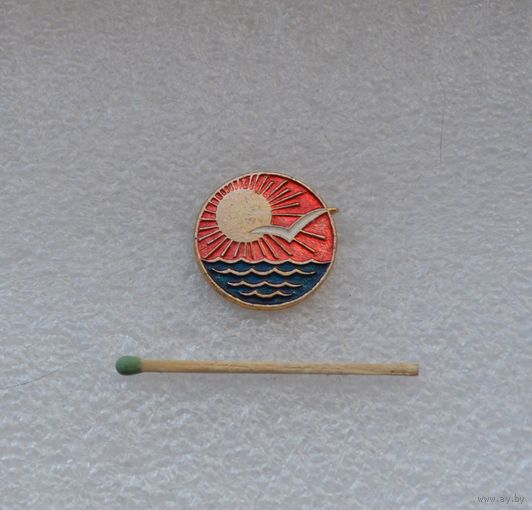 Чайка. Море. Солнце.