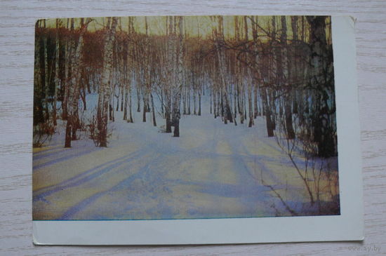 Природа. Подмосковье; 1963; чистая.