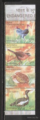 ФФ1 Индия 2006 Птицы