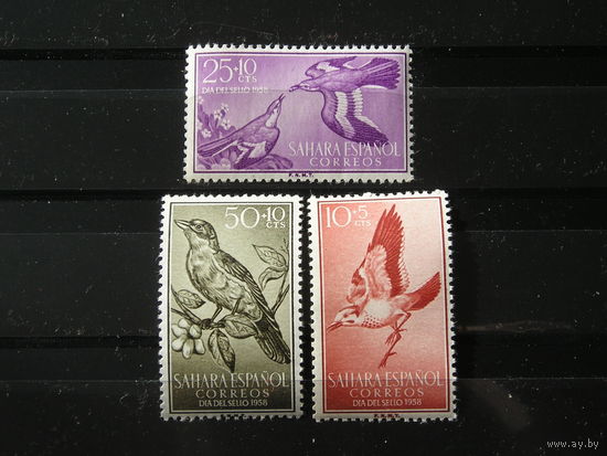 Испанская Сахара 1958 Птицы