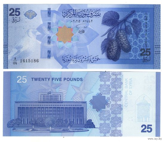 Сирия 25 фунтов 2025 год UNC (деноминированные) НОВИНКА