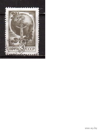 СССР-1984 (Заг.5482)   гаш., Стандарт(1)