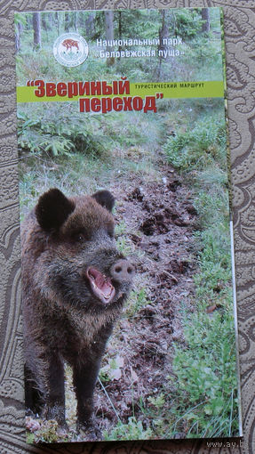 Путешествия: Брестская область. Национальный парк "Беловежская пуща". Звериный переход..