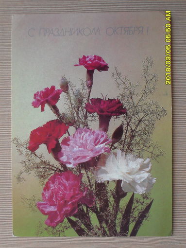 ЧИСТАЯ ПОЧТОВАЯ ОТКРЫТКА.С ПРАЗДНИКОМ ОКТЯБРЯ фото.И.ДЕРГИЛЕВА 1990г.