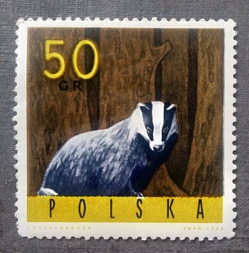 Марка Польша 1965 год Фауна