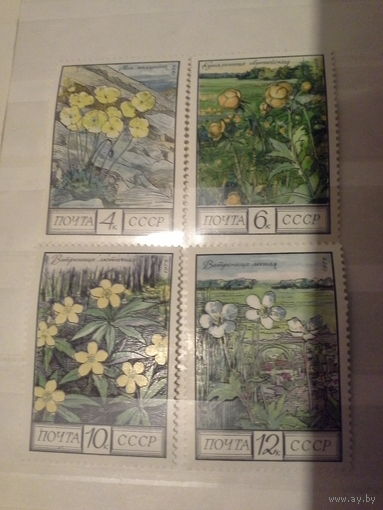 СССР 1975 цветы