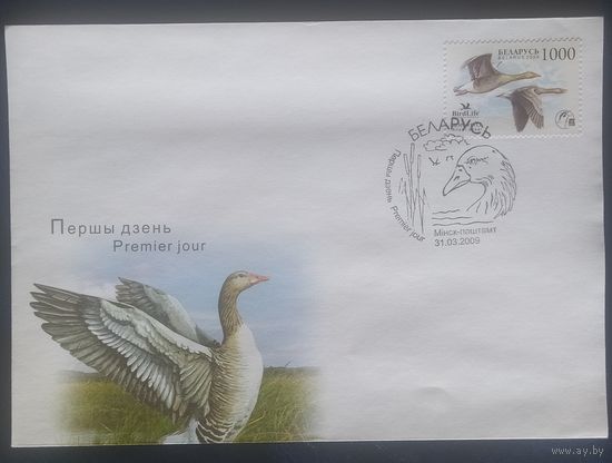 Беларусь 2009 КПД птица года, серый гусь.