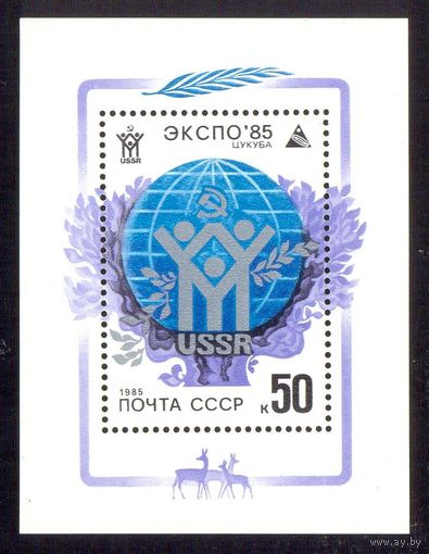 ЭКСПО -85