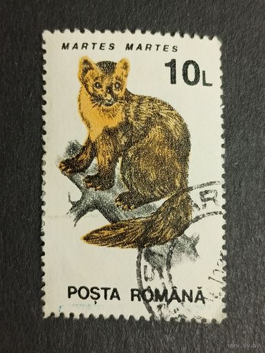 Румыния 1993. Животные. Лесная куница