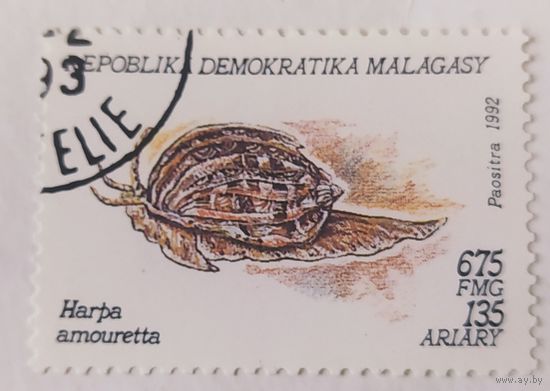Мадагаскар 1992, улитка