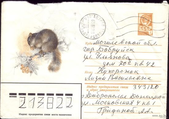 1980 год А.Исаков Соня полчок 80-658