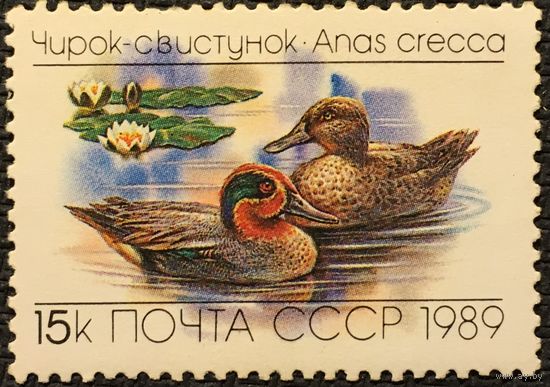ЦІКАВІЦЬ АБМЕН! 1989, Чыранка малая (15)