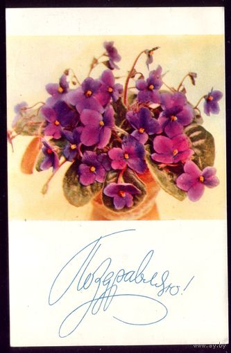 1973 год Е.Игнатович Поздравляю