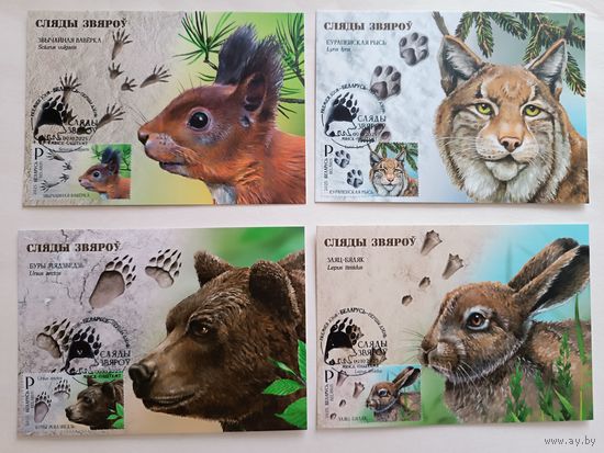 Картмаксимум "Следы зверей"