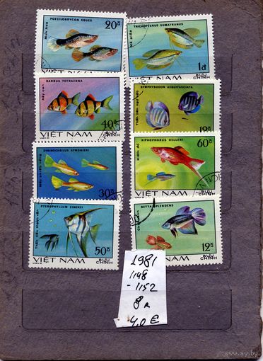 ВЬЕТНАМ, 1981,  Рыбы, серия 8м, гашен