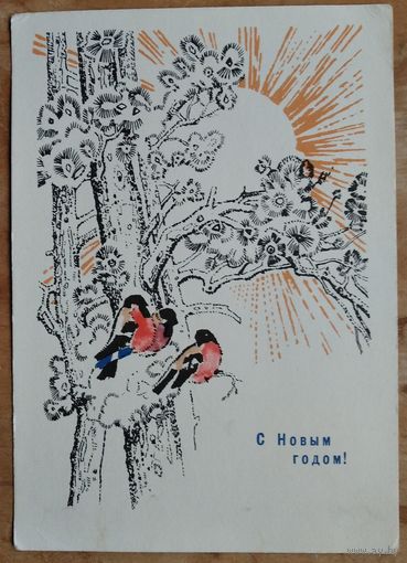 Самородов Н. С Новым годом! 1967 г. ПК. Чистая.