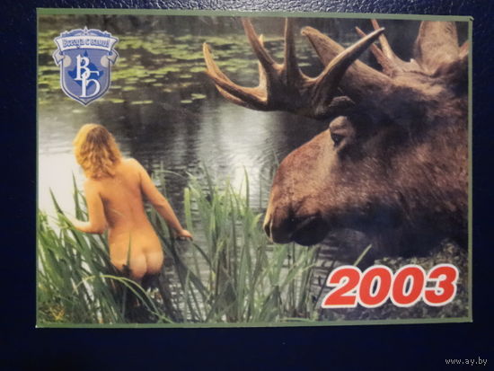 Календарик 2003 г.  Вечерний Брест.