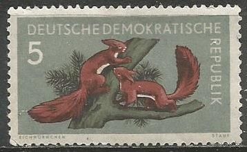 ГДР. Лесные звери. Белка. 1959г. Mi#737.