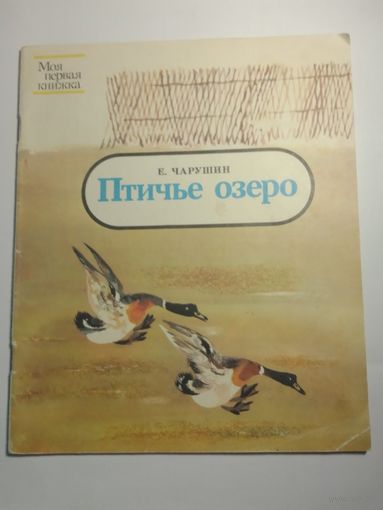 Е. Чарушин Птичье озеро