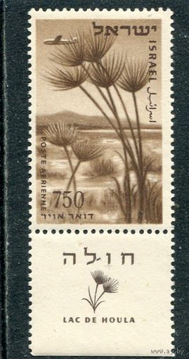 Израиль. Ландшафт