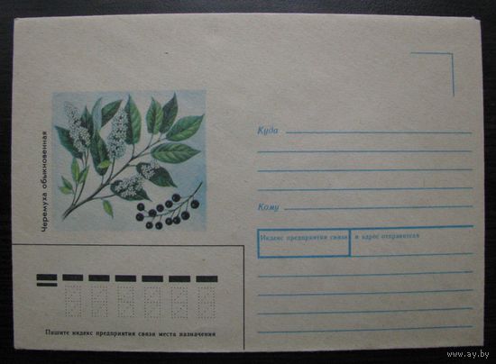 Конверт ХК СССР, Черёмуха обыкновенная, 1989 г. з. 134880. худ. Казакова .