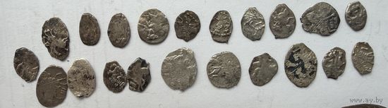 Чешуйки 21 штука