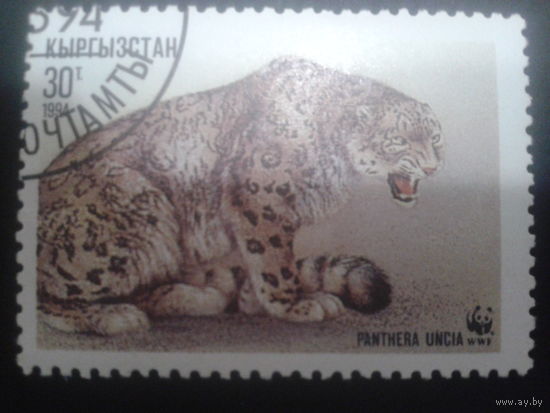 Киргизия 1994 Снежный барс WWF