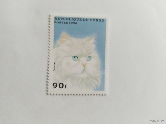 Конго 1996 коты