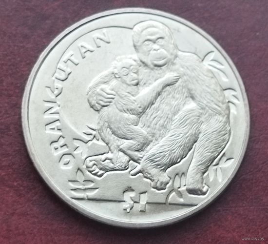 Сьерра-Леоне 1 доллар, 2010 Обезьяны - Орангутанг