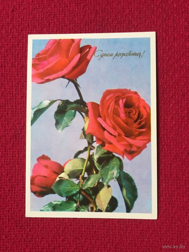 С Днем Рождения! Резникова. Гордеева. 1973 г.