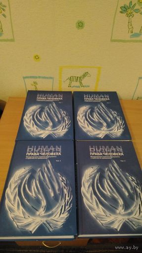 Самовывоз!!! Права человека. Международно-правовые документы и практика их применения (в четырех томах) 2009 г. Почтой не высылаю.