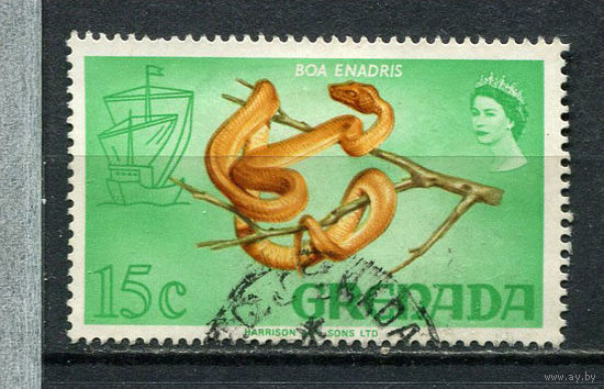 Гренада (Ассоциированное государство) - 1968/1969 - Фауна 15С - [Mi.285] - 1 марка. Гашеная.  (Лот 40Fo)-T25P19