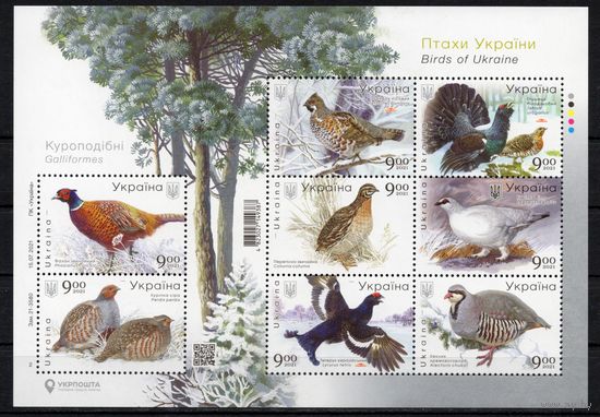 Украина 2021. Фауна. Птицы. Малый лист (1215)