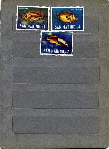 САН-МАРИНО, 1960   3м  РЫБЫ,     ** чист