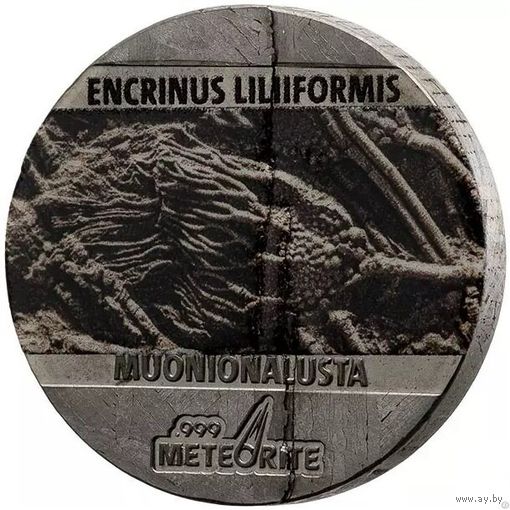 Ниуэ 5 центов 2021г. "Динозавры на метеорите: Энкринит Морская лилия". Монета в капсуле; сертификат. МЕТЕОРИТ - Muonionalusta. 5 гр.
