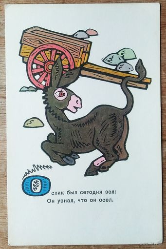 Сенновский Б. Ослик. 1969 г. Чистая.