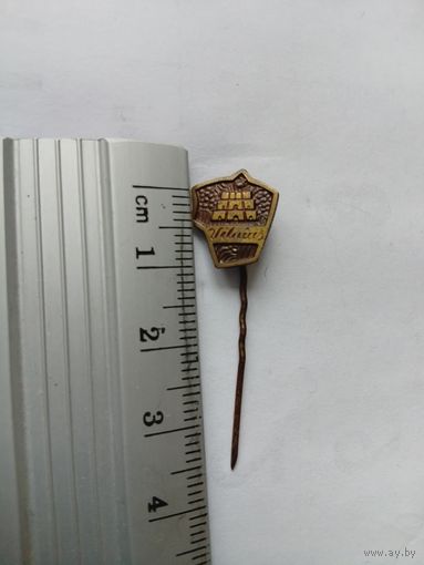 Значок Вильнюс тяжёлый старый