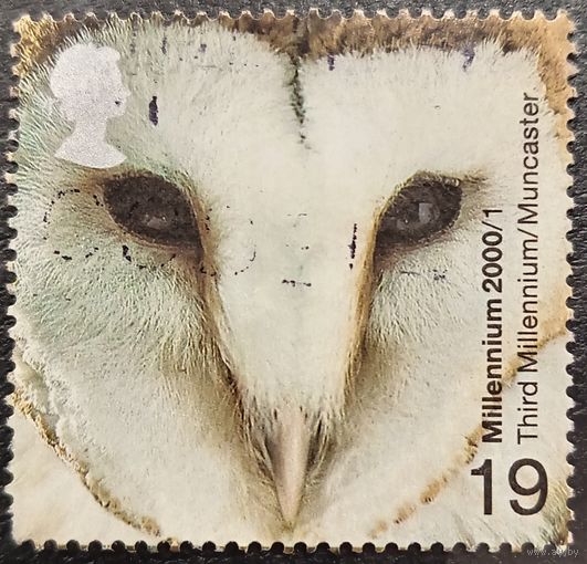 Великобритания 2000. Сова