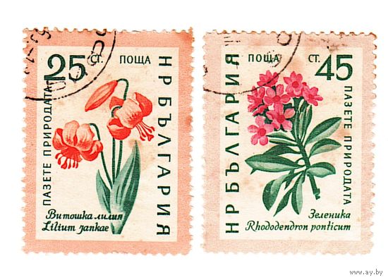 Болгария Цветы