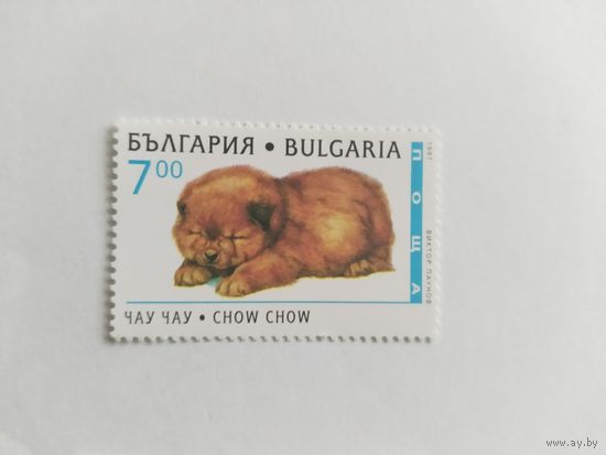 Болгария 1995 собаки