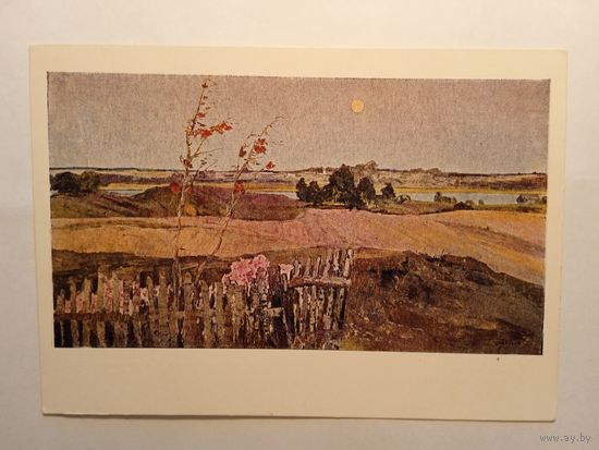 1964. Цвирко (Беларусь). На озере Свирь