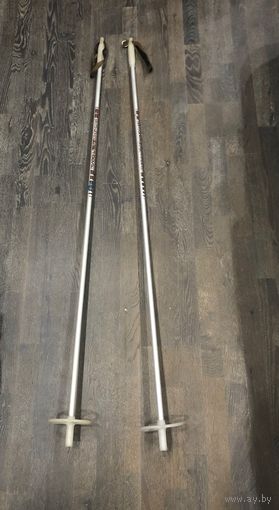 Палки лыжные Телеханы