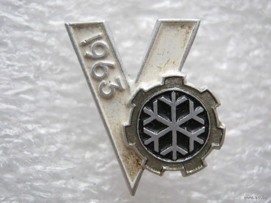 5 зимняя спартакиада 1963 г.