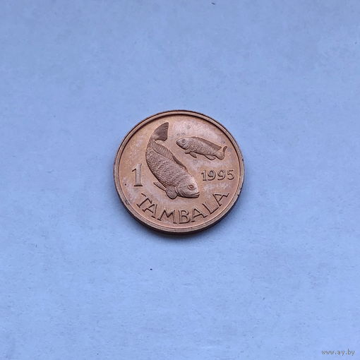 1 тамбала 1995