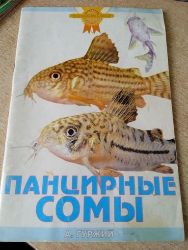 Панцирные сомы