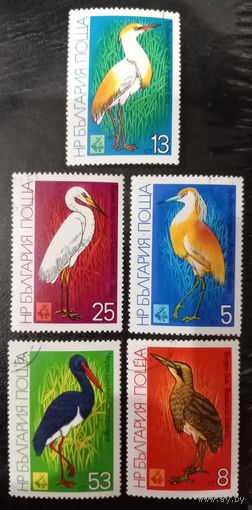 Болгария 1981. Фауна. Болотные птицы. Полная серия